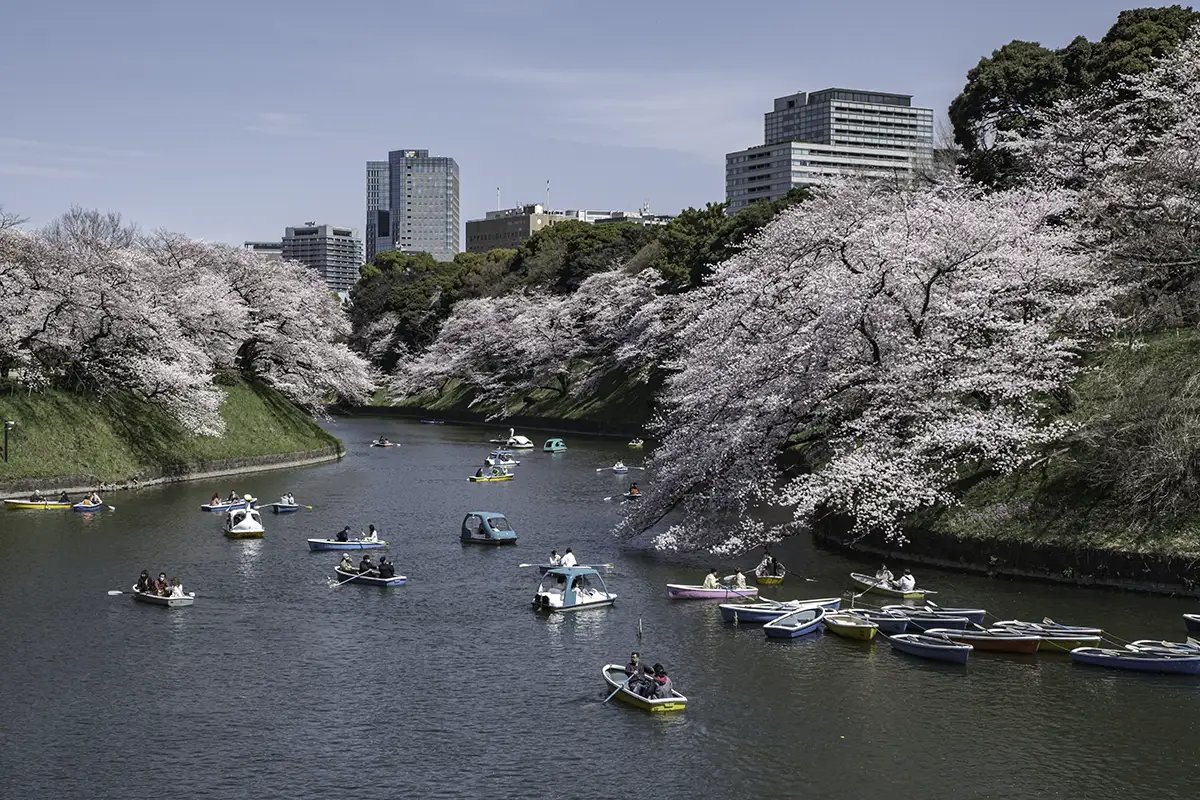 🏞️ 토키와 공원 이미지 6